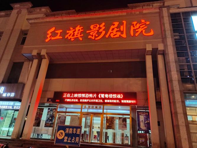 看一天影院草民电影网宅急看一本的相关介绍