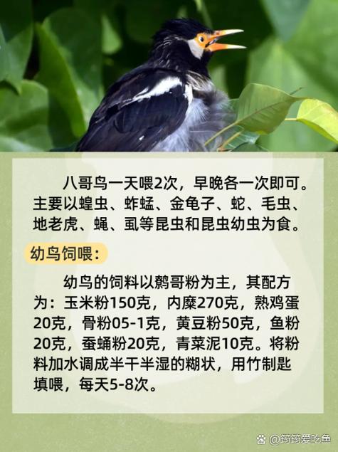 欧美一区二区三区久久久久久的相关介绍