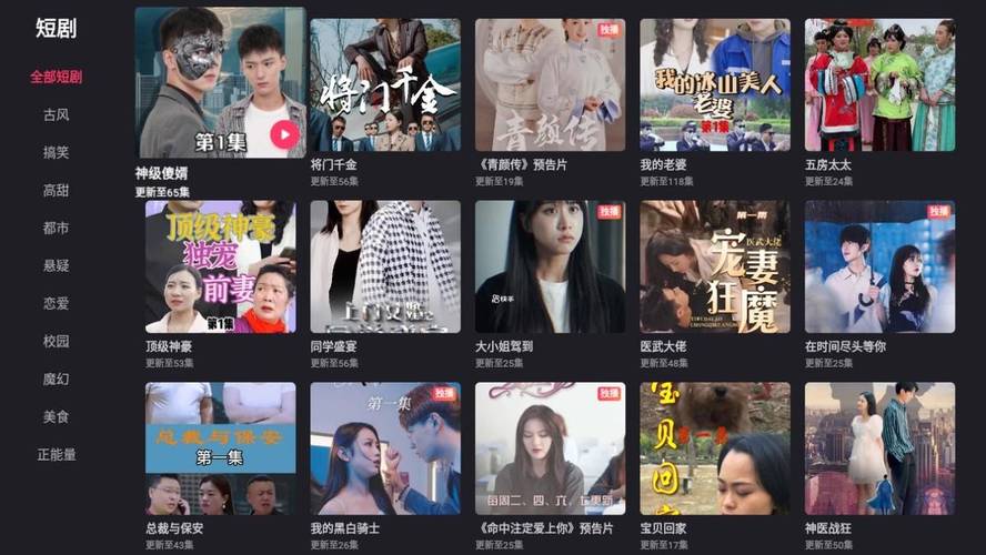 成年影院的相关介绍