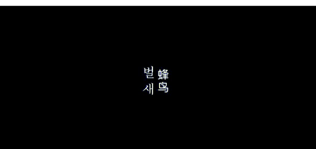 菲菲影院的相关介绍