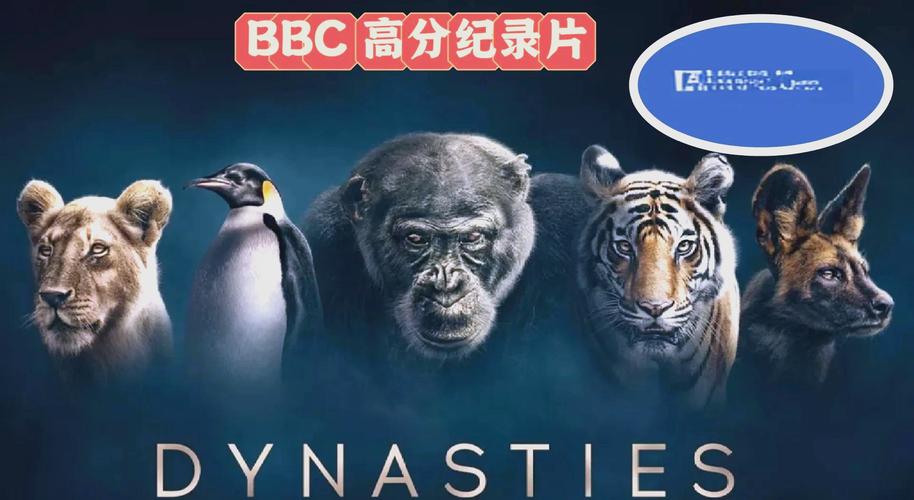 国泰电影院的相关介绍