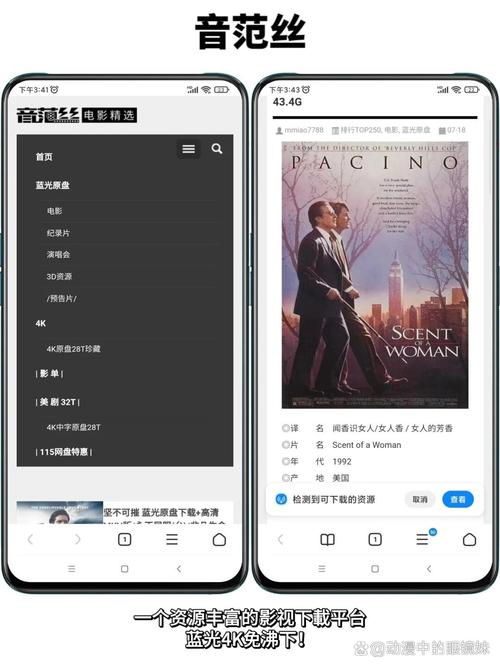 春意影院的相关介绍