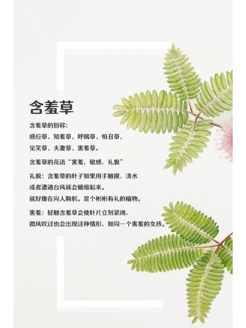 狂操美女教师的相关介绍