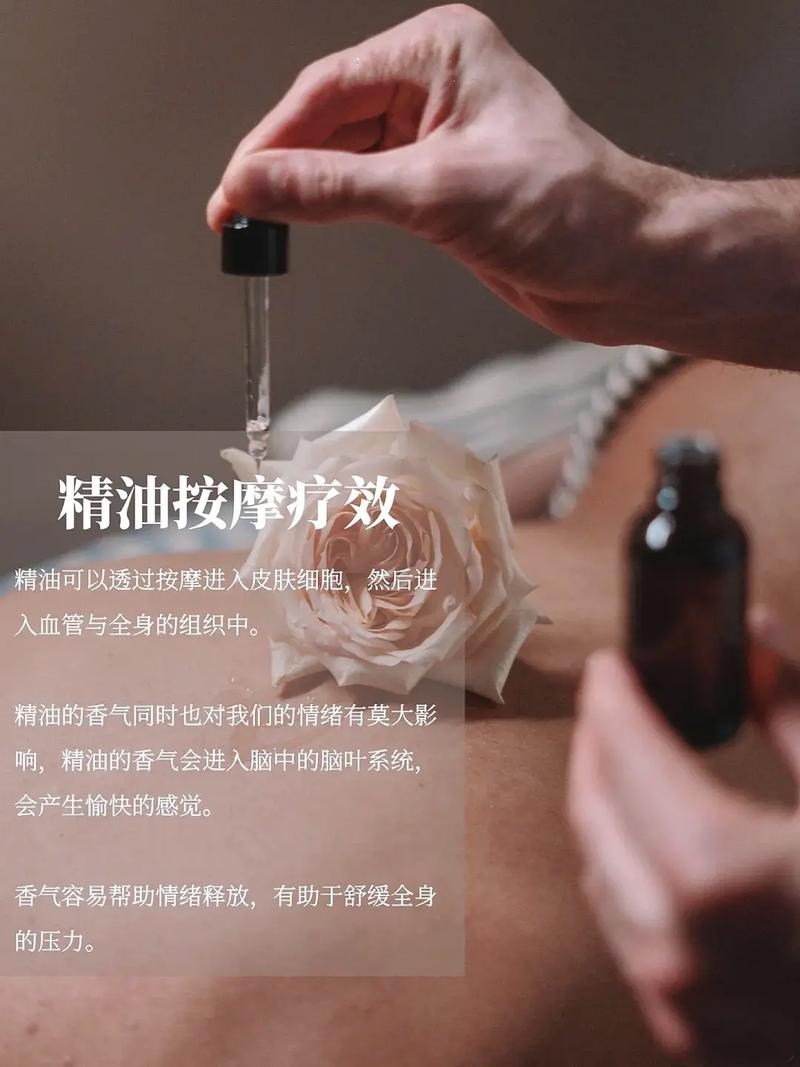 japaneseav久久激情的相关介绍