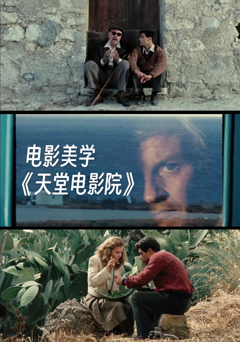 西瓜影院下载的相关介绍