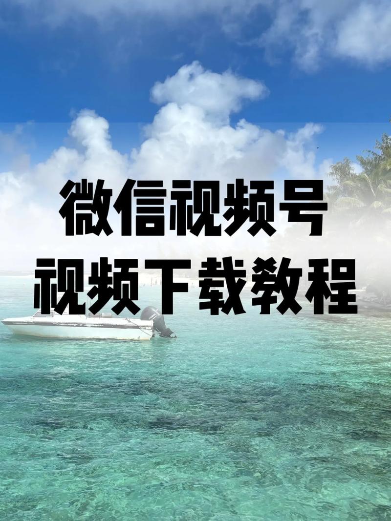 动漫18禁网站入口的相关介绍