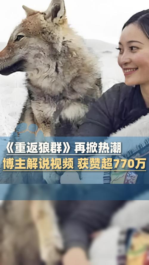 色狠久久av的相关介绍