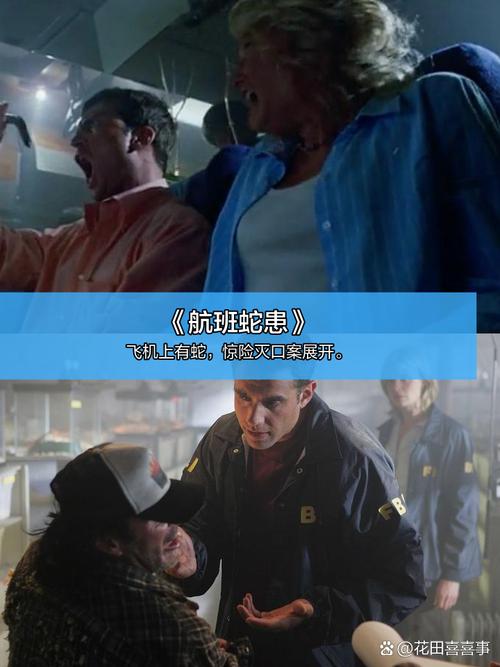 保加利亚毛片的相关介绍