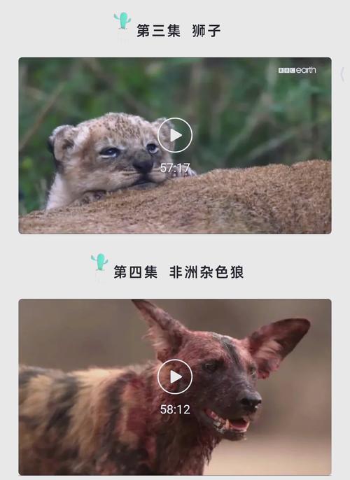 极品美女扒开粉嫩小av的相关介绍