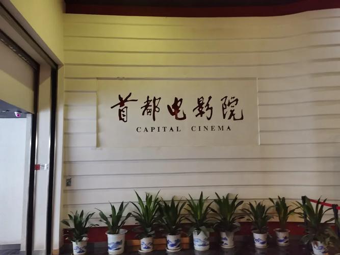 操出白浆在线观看的相关介绍
