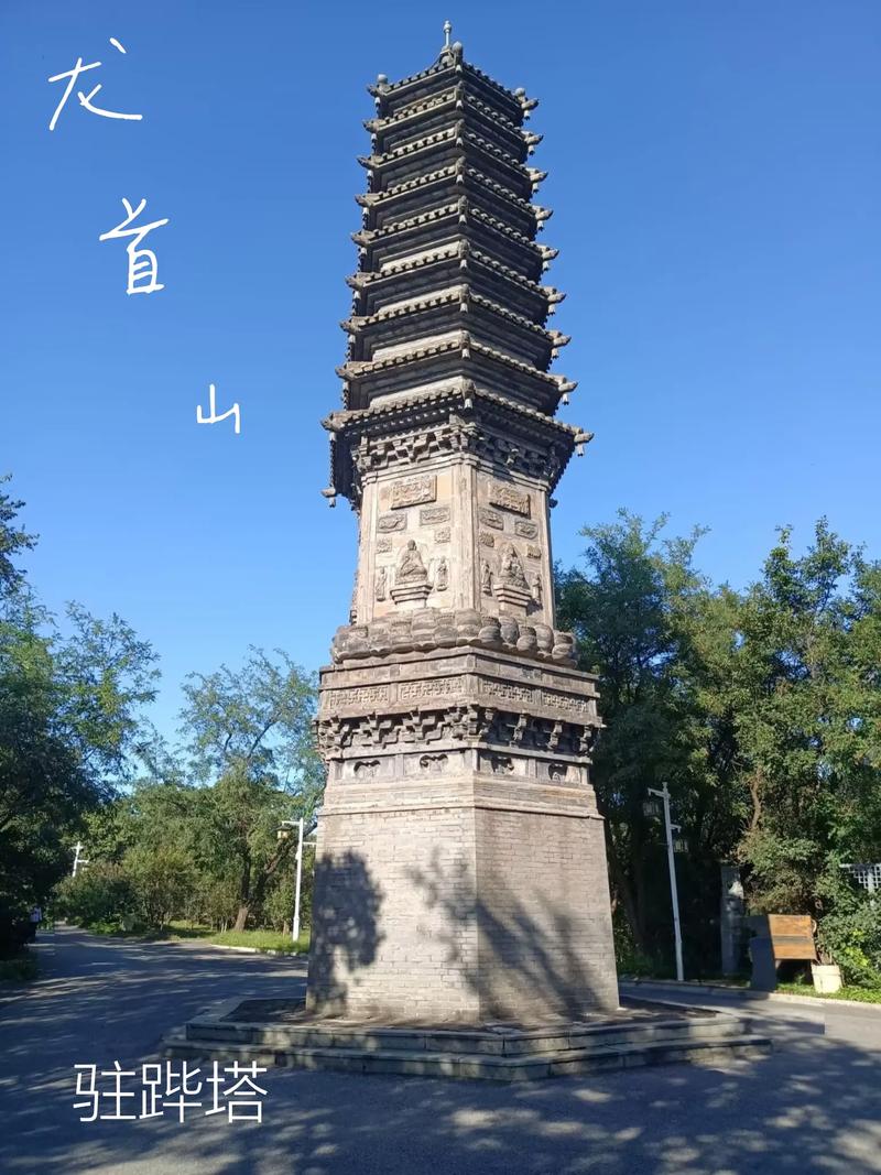 辣文强暴的相关介绍