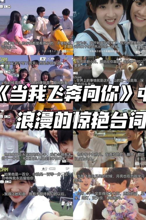 国产精品久久久精品久久久的相关介绍