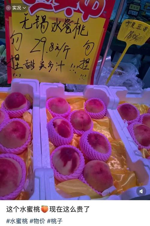 男女裸交动漫的相关介绍