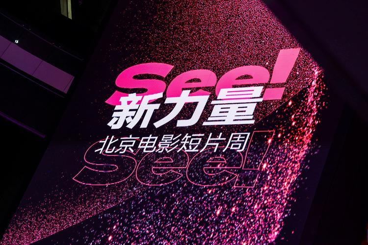 西西影院的相关介绍