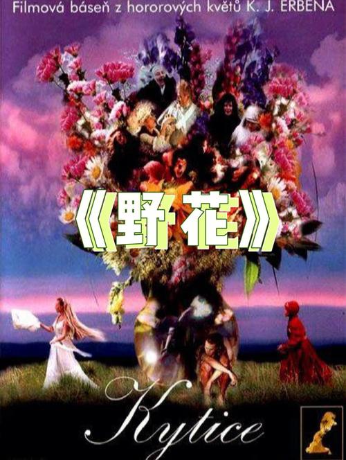 44800青苹果高清影院免费的相关介绍