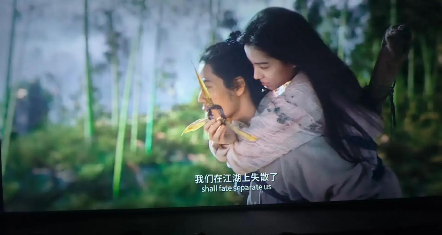 欧美一级淫片aaaaa片的相关介绍