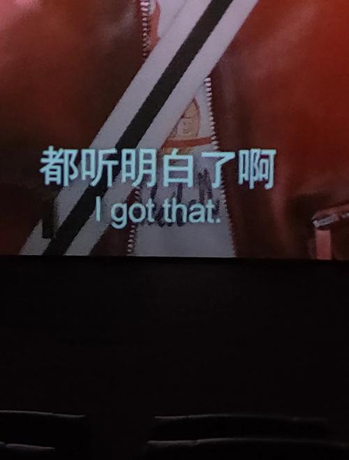 丝袜av在线观看的相关介绍