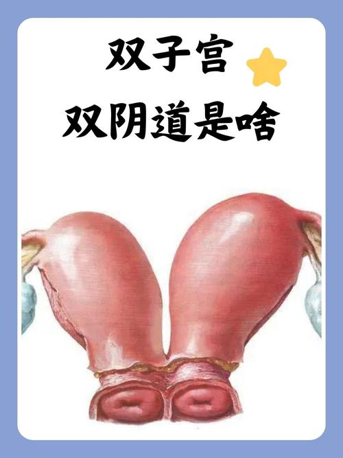 91麻豆网传媒的相关介绍