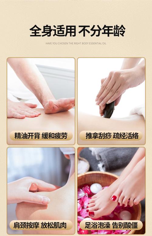 猛操动漫美女的相关介绍