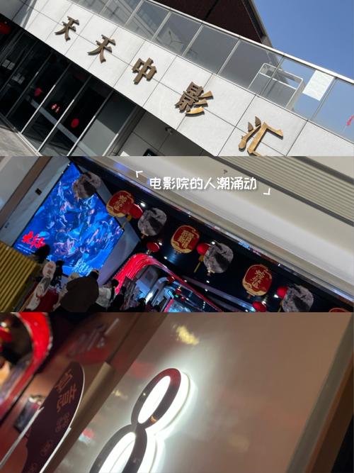 成人影院网站的相关介绍