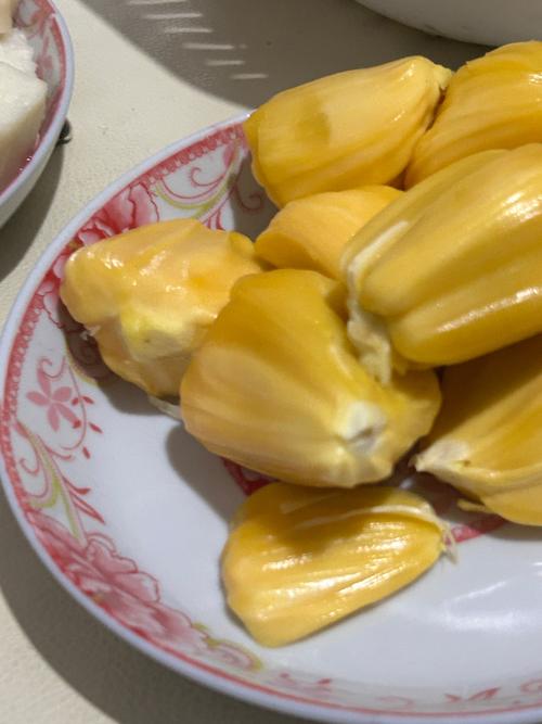 77视频下载app的相关介绍