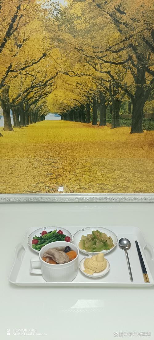 海淀工人文化宫电影院的相关介绍