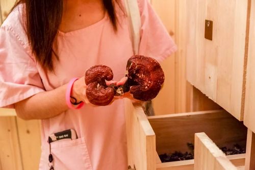 4480影院青苹果影院手机版的相关介绍
