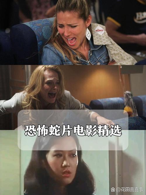 好看影院的相关介绍