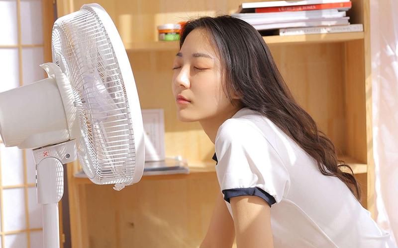 骚护士影院的相关介绍