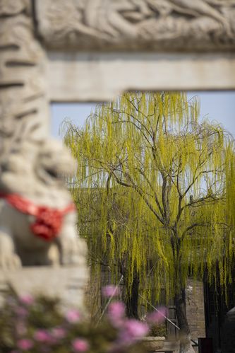 月光影院在线观看免费的相关介绍