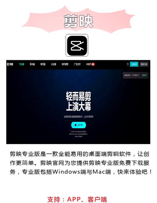 性虐辣文合集的相关介绍