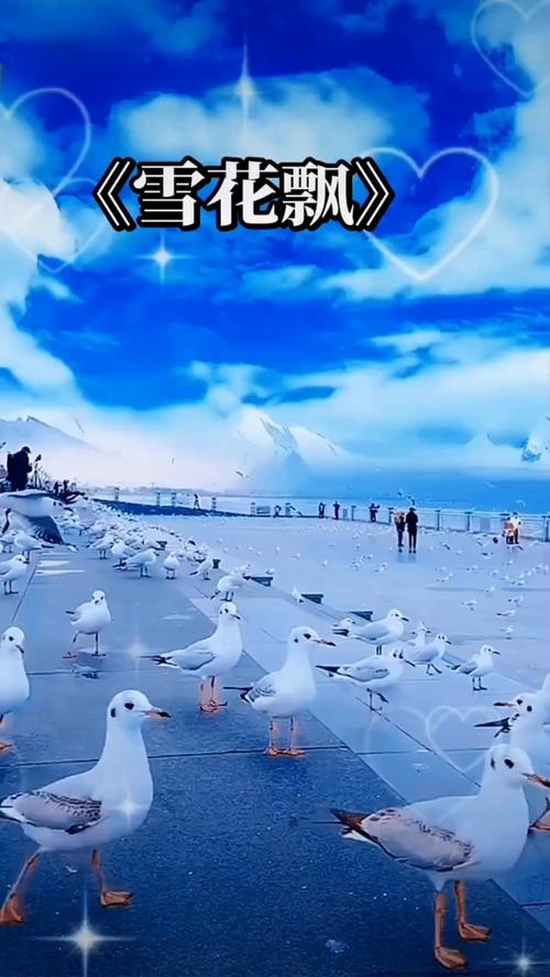 欧美xxxbbb性熟妇的相关介绍