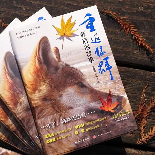 琪琪影院网色国产的相关介绍