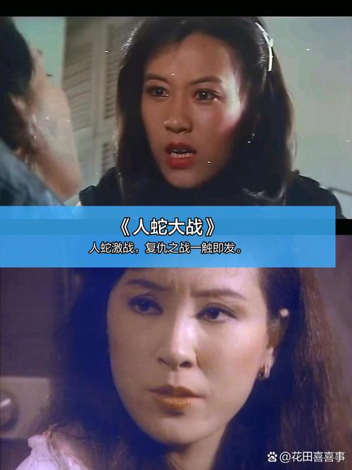 vip影院的相关介绍