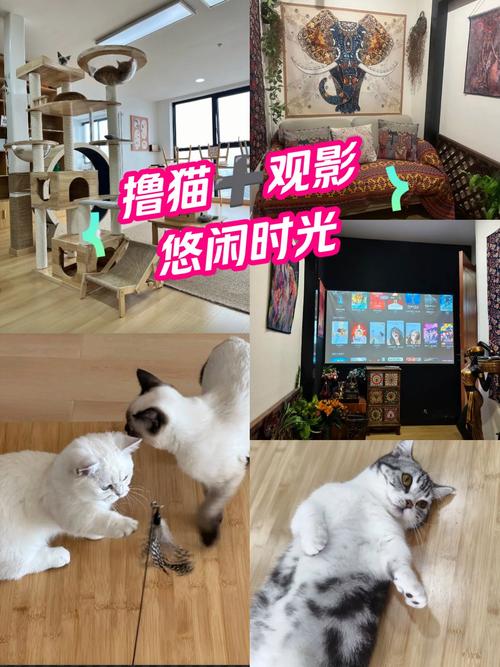 12影院的相关介绍