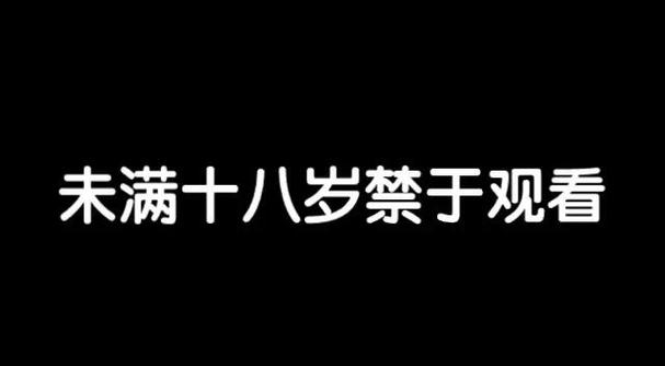 91精品久久久久久久久入的相关介绍