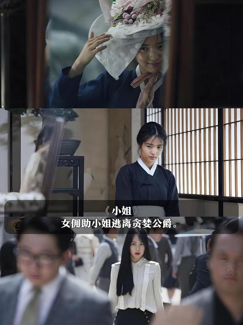 大地数字电影院的相关介绍