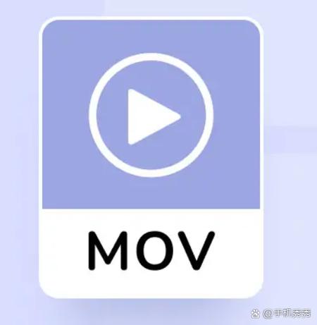 老女人的黄色录像的相关介绍