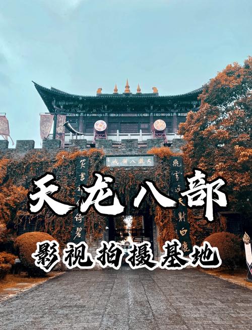 老司机影院视频的相关介绍