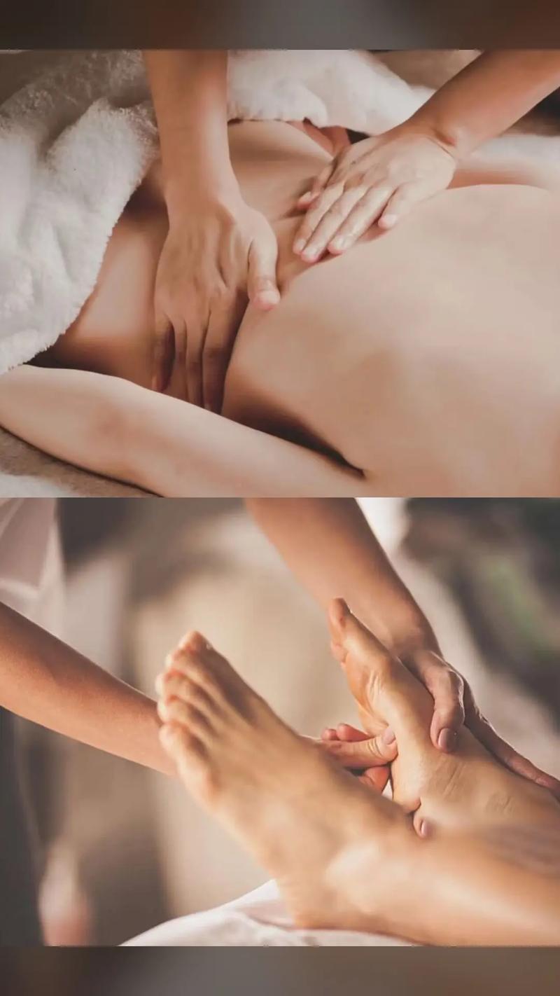 老湿影院视频免费机影院的相关介绍