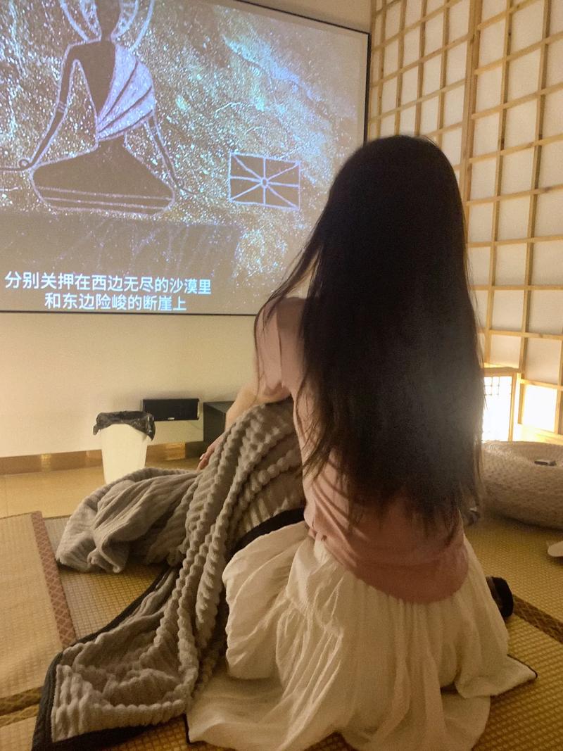 中影电影院的相关介绍