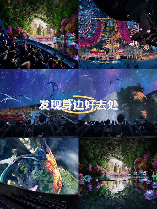 看成人看的毛片的相关介绍