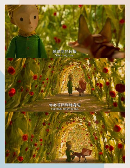 操处女b在线的相关介绍