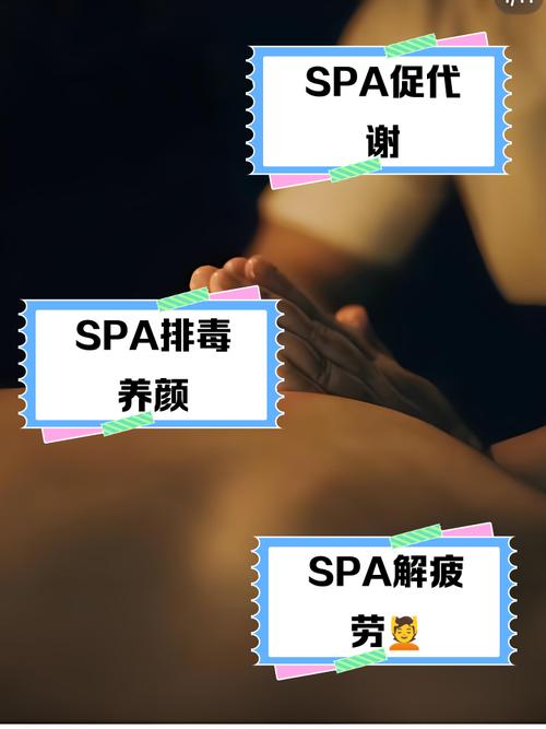 达达兔电影网达达兔电影院的相关介绍