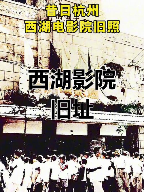 天码人妻的相关介绍