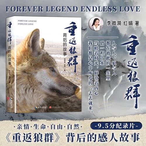 中文字幕va一区二区三区的相关介绍