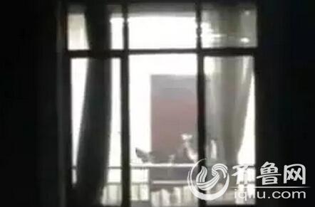 亚洲欧美狂白浆一区二区的相关介绍