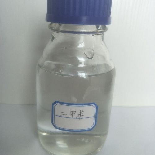 欧美午夜理论片在线的相关介绍