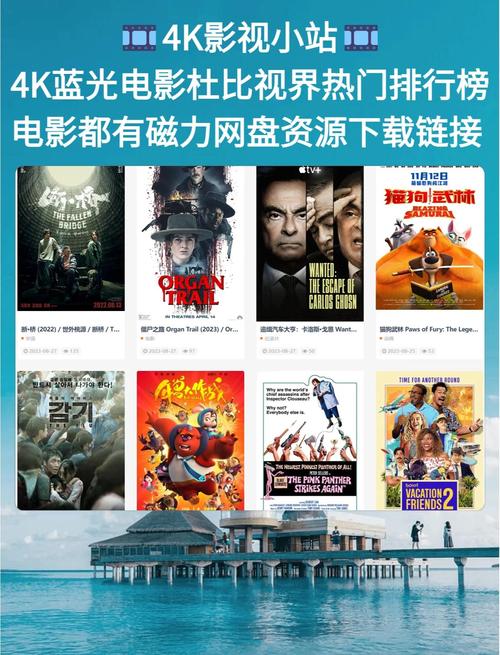 西瓜影院网的相关介绍