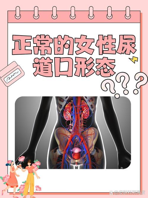 光根电影院yy11111推荐的相关介绍